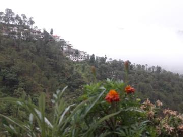 Solan, Solan District, Punjab - Balcony