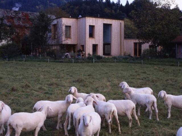 KUCHL: ARCHITEKTENHAUS+GÄSTEHAUS/ATELIER IN HOLZBAUWEISE Passivhausstandard, ca. 237qm Wfl.+ ca. 736qm Garten