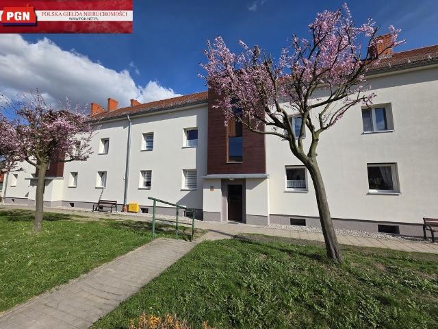 Kudowa Zdrój, 30,55 m², idealne na uzdrowisko i narty