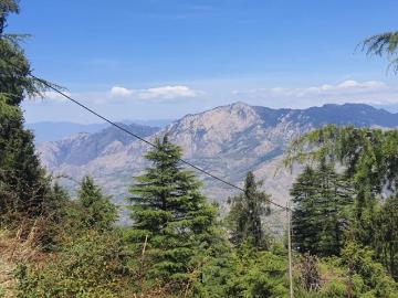 Shimla Himachal Pradesh, Solan District, Punjab
