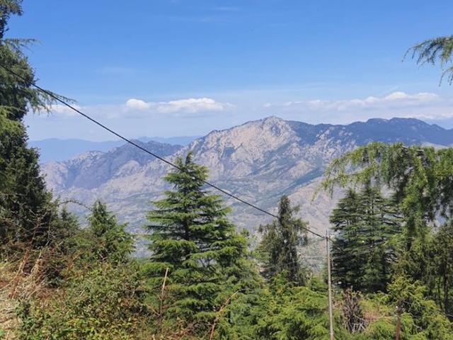 Kufri 7200 Sq.Ft. Plot in Kufri Shimla Listing ID: #8816