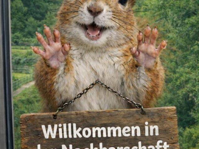 Kühle Waldluft im heißen Sommer am Balkon genießen