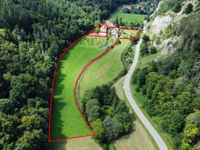 Kulturdenkmal in idyllischer Lage mit bestehendem Wasserrecht an der Lauter
