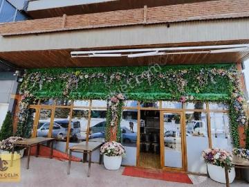 Musalla Bağları Mahallesi, Konya, Konya ili, İç Anadolu Bölgesi