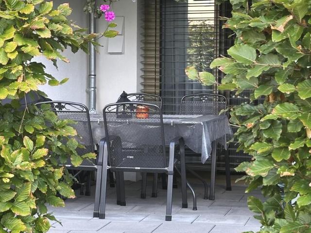 Kurze Wege. Schöner wohnen. Zwei Zimmer mit Südterrasse!