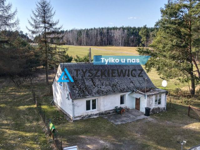 Kurzejewo, 80 m2