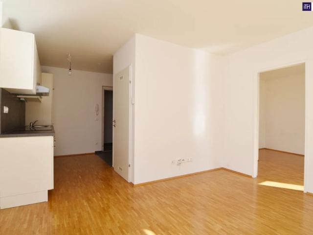 Kuschelig, zentral, sofort frei – Wohnung mit Westbalkon in Graz