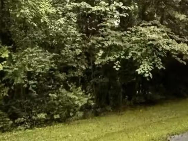 l OT 31 CANAL STREET # LOT 31, CHILDERSBURG, AL 35044
