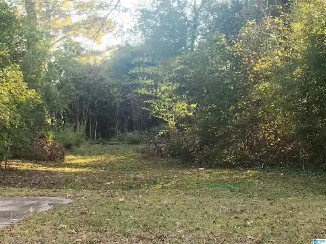 l OT 94 3RD AVENUE # 94, GADSDEN, AL 35901