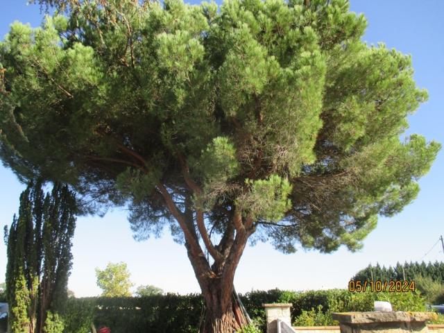 La Tour du Crieu Vente Maison 09