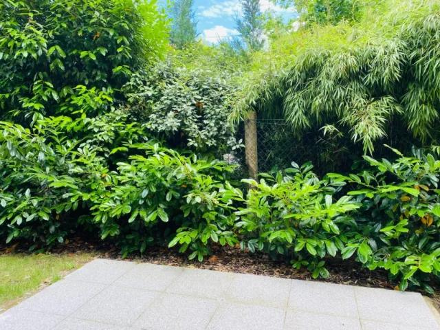 La Wantzenau Appartement 1 pièce 40.65 m²
