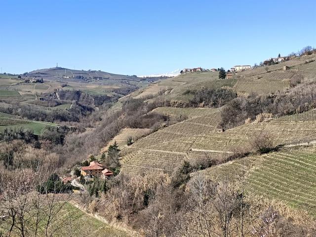 La affascinante Cascina circondata dal verde di Santo Stefan. 229m² Santo Stefano Belbo