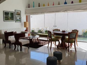 Casa en alquiler en La Joya - Barbacoa