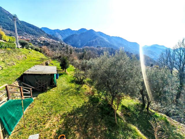 La bollene vesubie