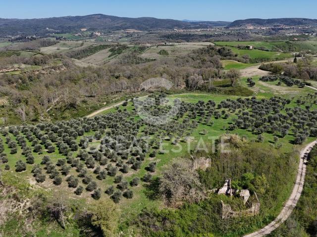 La Campana 420m² Asciano