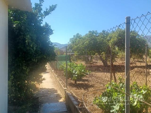 LA CASA DE TUS SUEÑOS Y LA FINCA PERFECTA EN ALH DE LA TORRE