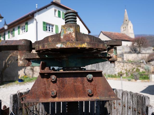 La Demeure au Marronnier – Ein außergewöhnliches Anwesen im Herzen der Waadder Weinberge