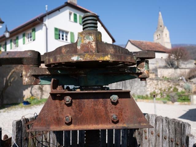 La Demeure au Marronnier – Ein einzigartiges Anwesen im Herzen des Waadtländer Weinbaugebiets
