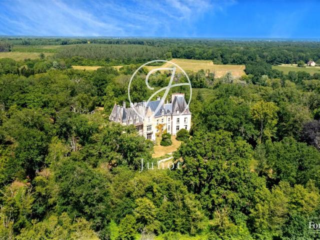La Guerche sur l'Aubois Cher Château XIXème boutique Hôt. 1173m² La Guerche sur l'Aubois