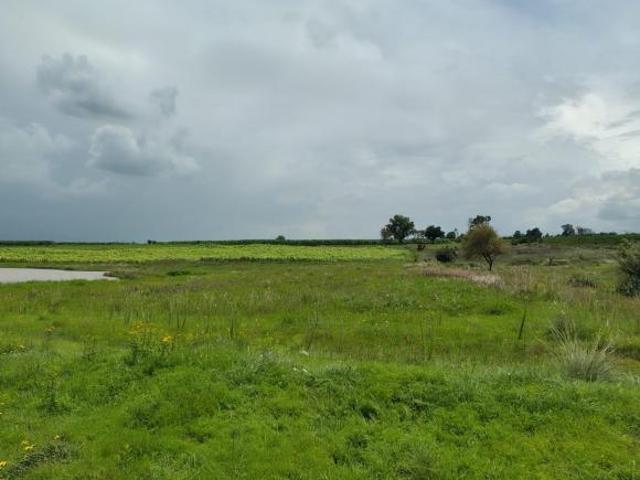 La Laborcilla en Venta de 2,500m2 de terreno cerca de la Carretera Estatal 310