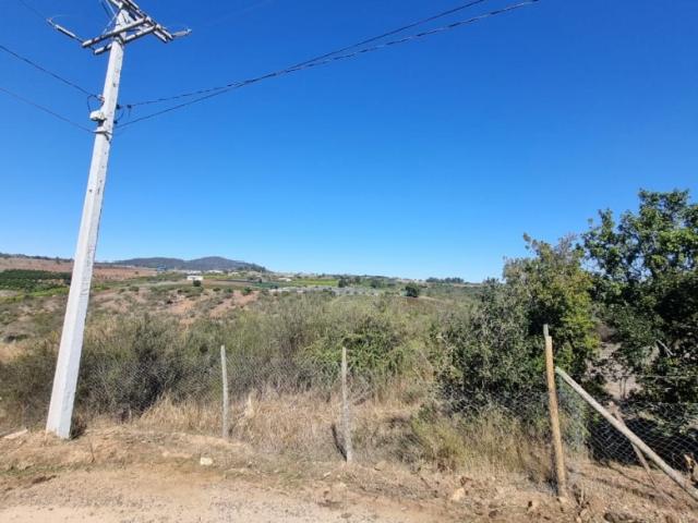 LA MANGA, SAN PEDRO
