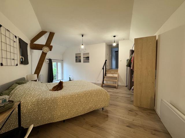 LA MAGNIFIQUE #1 Location Appartement tours: 47.4 m2 60662161