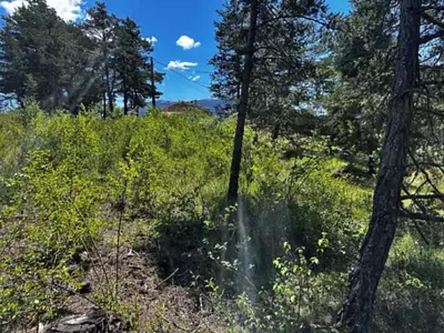 La Martre 83840 Programme neuf maison neuf à vendre 4 pièces