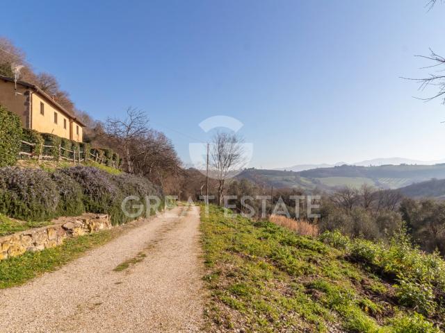 La Marzolina 191m² Castiglione in Teverina