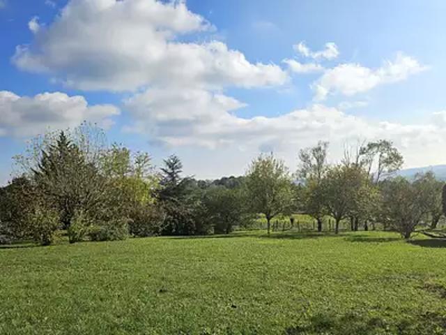 La Roche Vineuse 71960 Programme neuf maison neuf à vendre 6 pièces