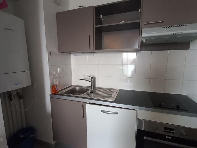 La Salvetat Saint Gilles Location Appartement 31