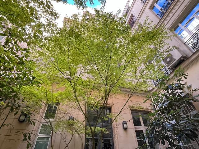La Suite Richelieu Premium A/C Studio in the Heart of Paris Rue des Jeuneurs✨