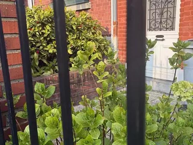 Lambersart 59130 Achat / Vente maison 5 pièces t5 jardin