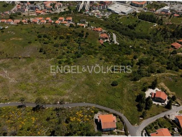 Lamego Lamego LS105369077