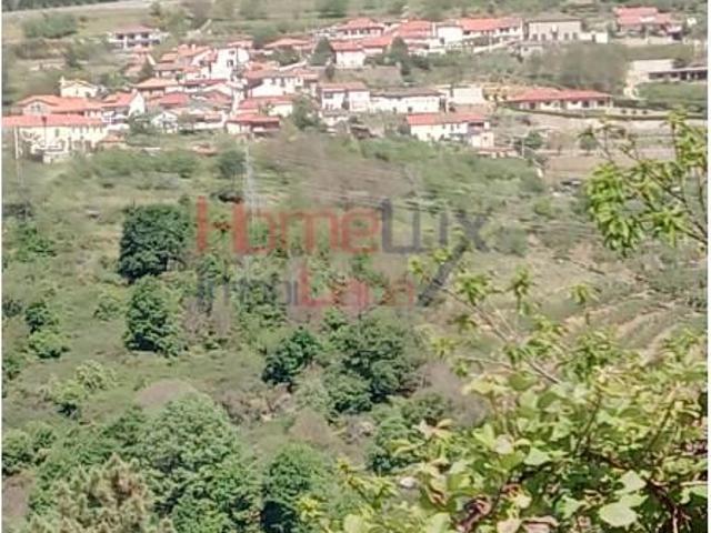 Lamego Lamego LS105393539