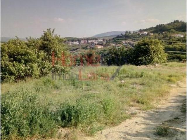 Lamego Lamego 105819019