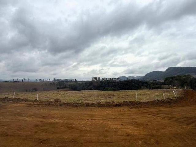 Lançamento Parque das Palmeiras Terrenos a partir de 400m² à venda Matias Barbosa MG