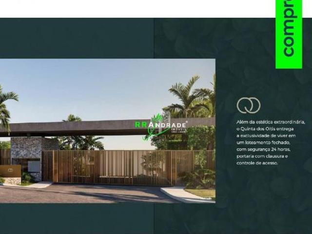 Lançamento Quinta dos Oitis