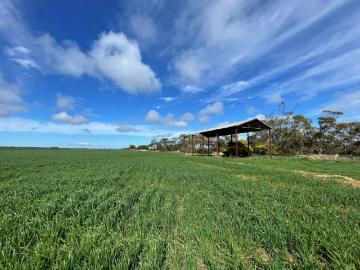 land Melton ELS101909344
