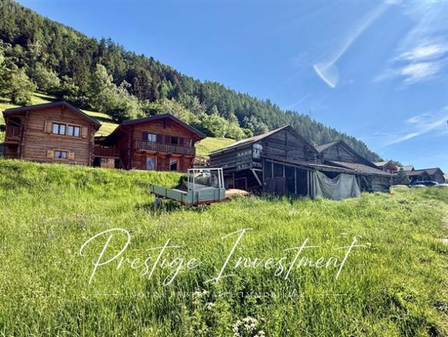 LAND MIT SCHEUNENSTALL ZUR RENOVIERUNG VON NENDAZ