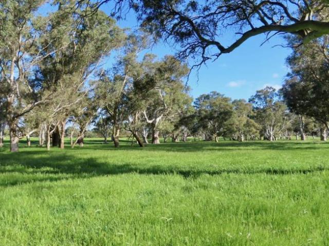 For Rent Land Monbulla SA DS102797151