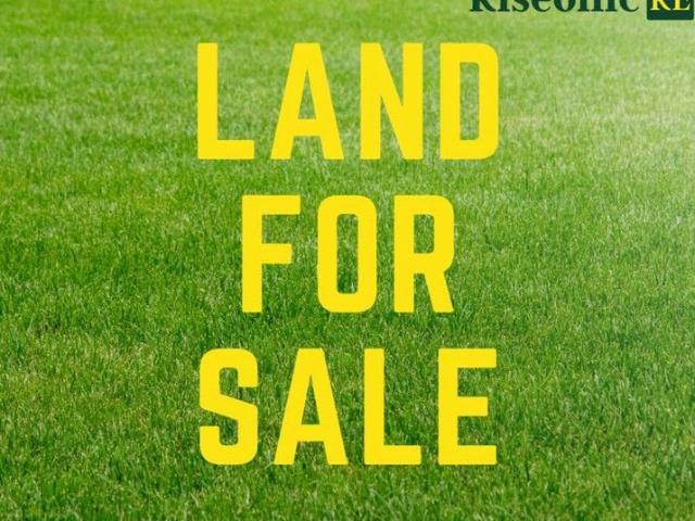 Land only option!