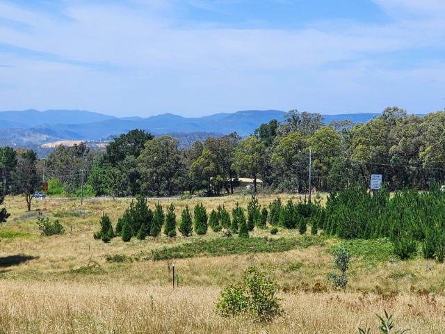 Land opportunity in Hartley