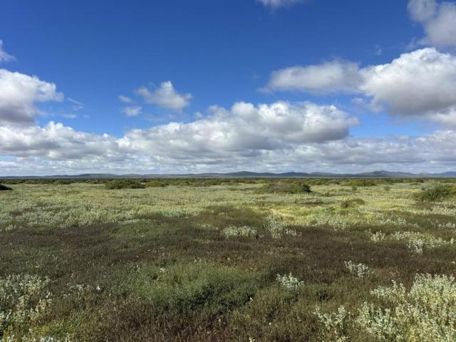 Land Orroroo SA 105863115