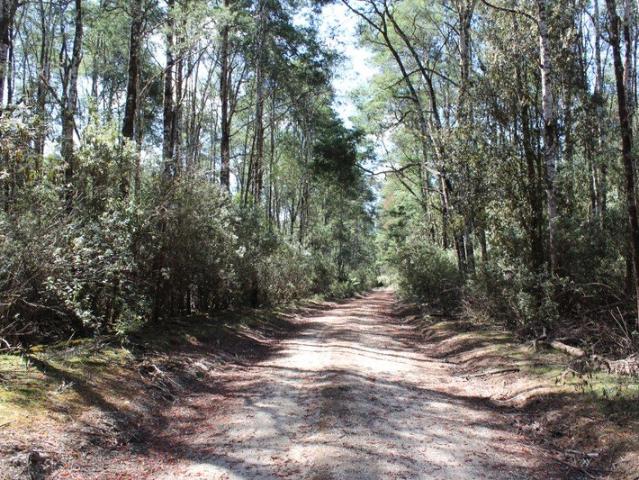 LAND AT BASSETT'S ROAD CALDER, TASMANIA