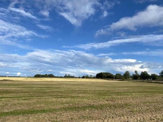 Land At West Kintrockat Farm, Brechin, Land For Sale