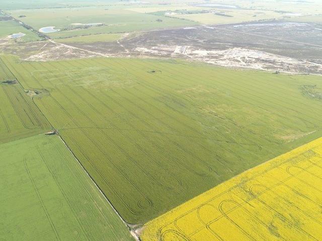 LAND AUCTION