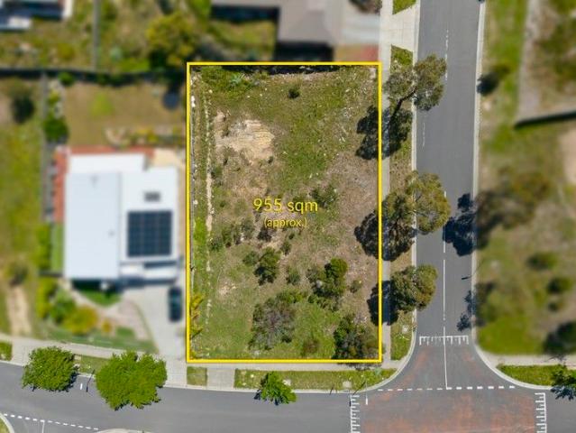 Land A Bargain! 955sqm Approx