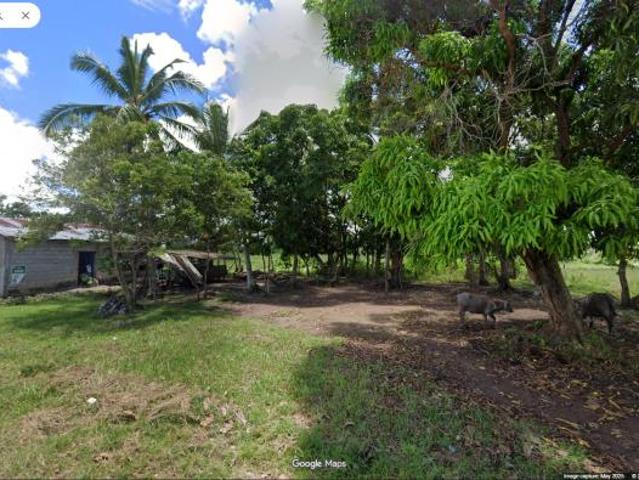 Land and Farm for sale in Balud