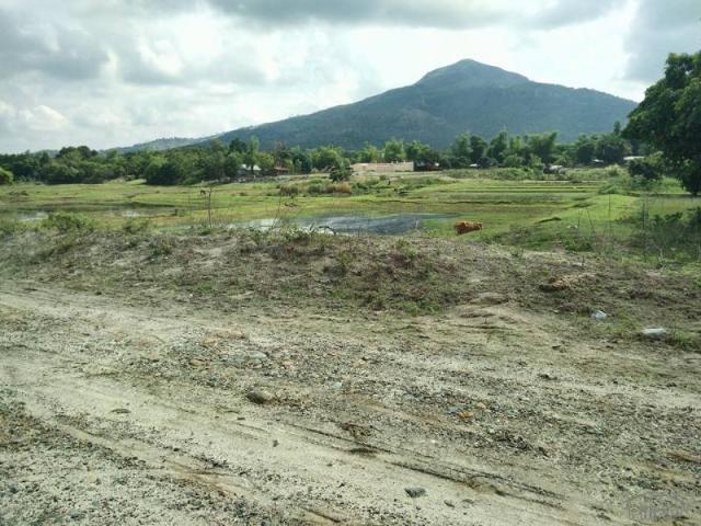 Land and Farm for sale in Botolan