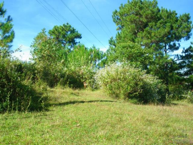 Land and Farm for sale in Cabangan
